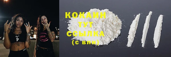 метадон Новодвинск