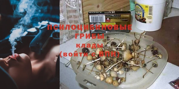 mdma Новозыбков