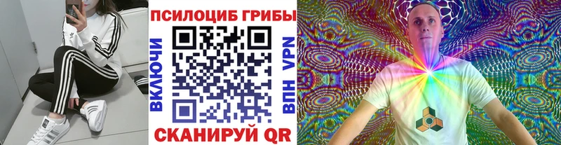 Псилоцибиновые грибы мухоморы Кашин